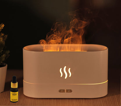 Flame humidifier